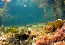 Shallows at Aughrusbeg, Connemara.
D200, 16mm. by Mark Thomas 